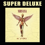 Nirvana - All Apologies