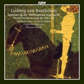 Wellingtons Sieg, Op. 91, Pt. 2: Sieges-Symphonie artwork