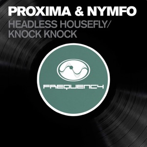 Headless Housefly / Knock Knock - Single
