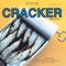 Teen Angst (What The World Needs Now) - Cracker lyrics