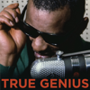 True Genius - Ray Charles