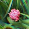 .wav - Polomov lyrics