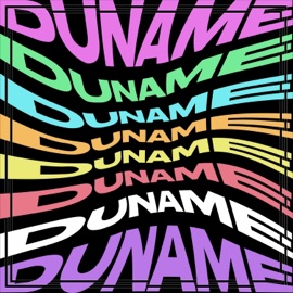 Duname Wowi
