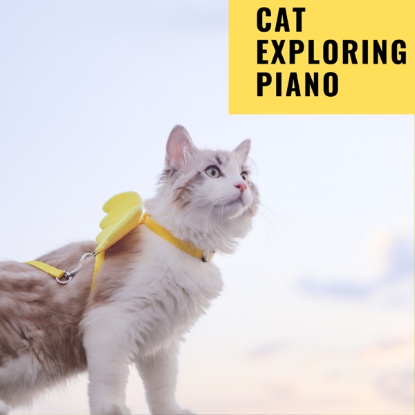 Cat Exploring Piano