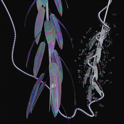 El Camino Refleja - Single