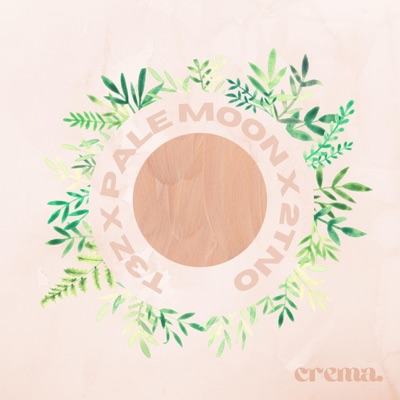 Crema (feat. Pale Moon, BIGTLKT3Z & 2TNO) - Single