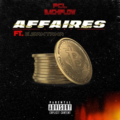 Affaires (feat. E.Santana) - Single
