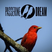 Passerine Dream - Feel / My Heartbeat