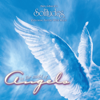 In the Midst of Angels - Dan Gibson's Solitudes