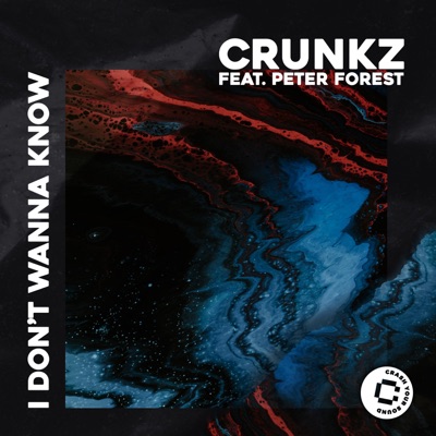 I Don't Wanna Know (feat. Peter Forest) - Single
