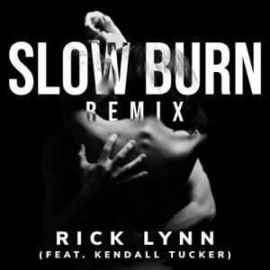 Slow Burn Remix (feat. Kendall Tucker) [Remix] - Single