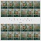 Don't Know Why (feat. Adrienne Indigo) - Paul Grant lyrics
