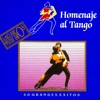 Homenaje al Tango: 40 Clásicos de Oro (Grandes Exitos)
