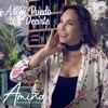 Amina La Reina de la Cumbia - A Ti Sí Puedo Decirte