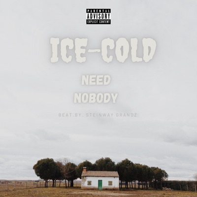 Need Nobody - Single
