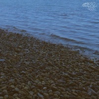 Tides - Single - Defsharp