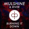 Stream & download Burning It Down - Single