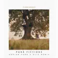 Pura Fictiune (Adrian Funk /Olix Remix)