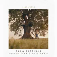 Pura fictiune (Adrian Funk &amp; Olix remix)