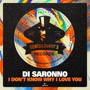 I Don't Know Why I Love You - Single