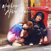 눈의 꽃