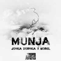 Munja (feat. Nobel) - Single - Jovica Dobrica