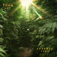Essence - Single - Prya