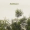 Ambiance (feat. Lakeside Collective) - Gabb & Racasse lyrics