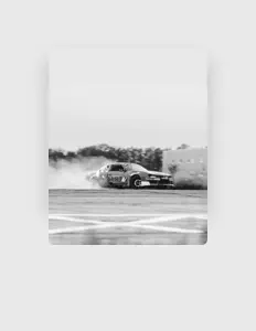 收听 Tree、观看音乐视频、阅读小传、查看巡演日期等 ！