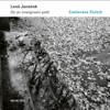 On An Overgrown Path, JW 8/17 / Book II (Arr. Rumler for String Orchestra): No. 12, Allegretto – Presto - Camerata Zürich & Igor Karsko