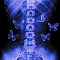 Butterflies - Single - Blaund