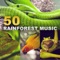 Rainforest Music Lullabies - Zen Soothing Sounds of Nature lyrics