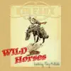 Wild Horses (feat. Terry McBride)