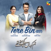 Tere Bin (Hum Kahan Ke Sachay Thy OST) artwork