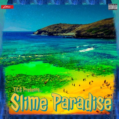 Slime Paradise (feat. Young Swift) - Single