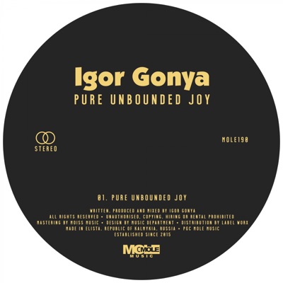 Pure Unbounded Joy - Single