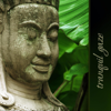 Tranquil Gaze - Buddha's Lounge