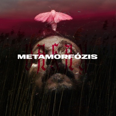 Metamorfózis - Single