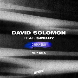 Dreaming (feat. SMBDY) [VIP Mix]