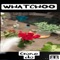Whatchoo gone do - BowTieTee lyrics