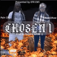 Chosen One (feat. Sheed2RAW) - Single - Pain City