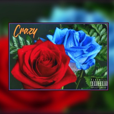 Crazy - Single