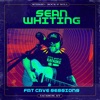 Fat Cave Sessions (Sean Whiting) - EP