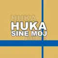 Za tobom sam poludio