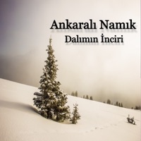 Dalımın İnciri - Single - Ankaralı Namık