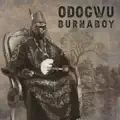 Odogwu
