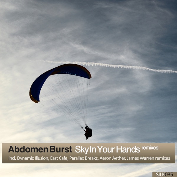 Sky in Your Hands (Remixes)