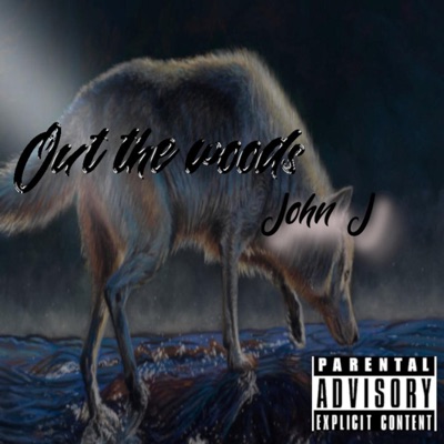 Out the Woods - Single