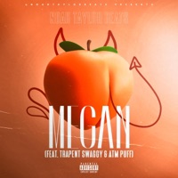 Megan - Single - Trapent Swaggy, ATM PUFF & Noah Taylor Beats