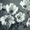 Love, The Lazee - The Spinanes lyrics